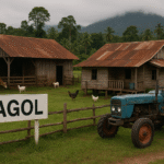 La fameuse ferme (Tagol – Indonésie)
