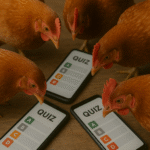 Les fameux quiz de poulet